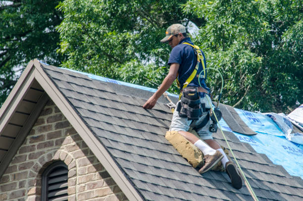 Best Best Roofing Contractors  in Woodburn, VA